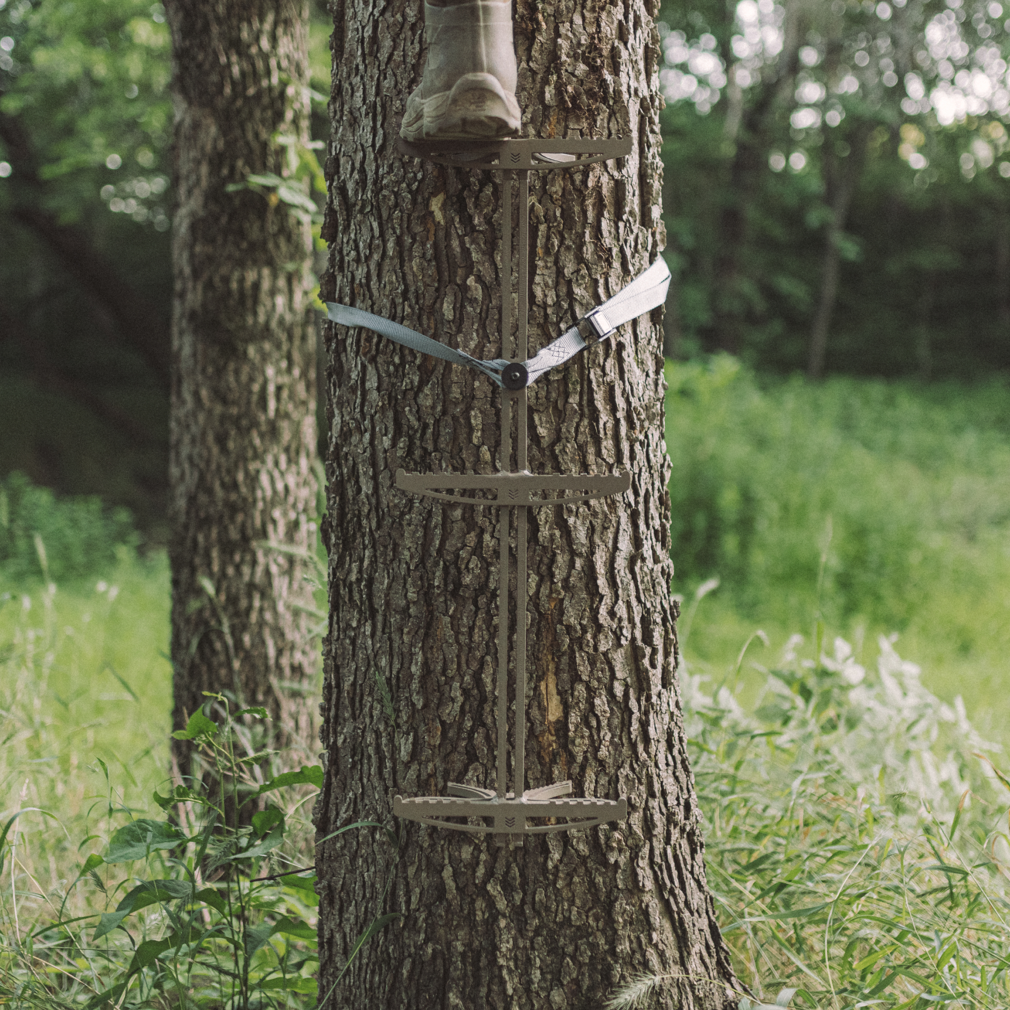 verticaltreestands.com